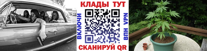 Купить наркотики сайты Павловск Каннабис Cocaine ГАШ Меф мяу мяу