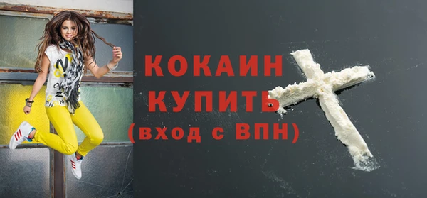 прущие крисы Бородино