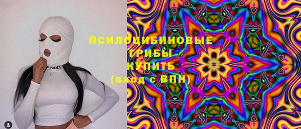 прущие крисы Бородино