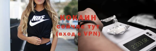 прущие крисы Бородино