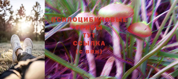 MESCALINE Верея