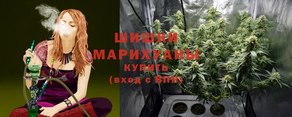 ГАЛЛЮЦИНОГЕННЫЕ ГРИБЫ Бугульма