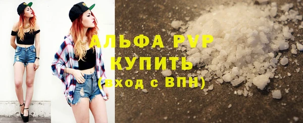 прущие крисы Бородино