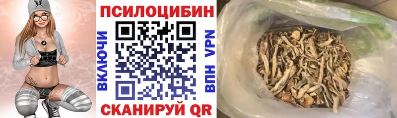 Галлюциногенные грибы Psilocybe  Павловск 